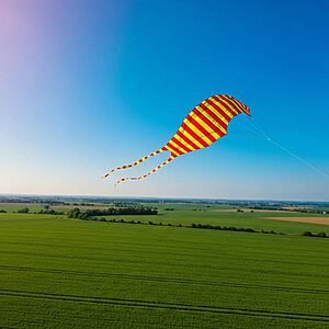 Different storage unit options showing climate control and security features